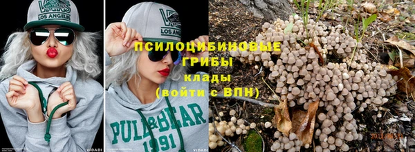 гашик Михайловка