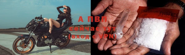гашик Михайловка