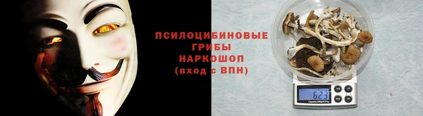 гашик Михайловка