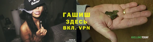 спиды Михайлов