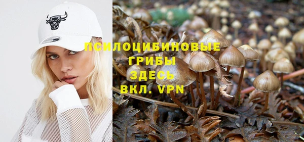 спиды Михайлов