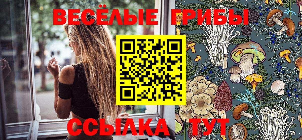 Псилоцибиновые грибы Magic Shrooms  Вход с VPN  Галлюциногенные грибы Cubensis  Урус-Мартан 