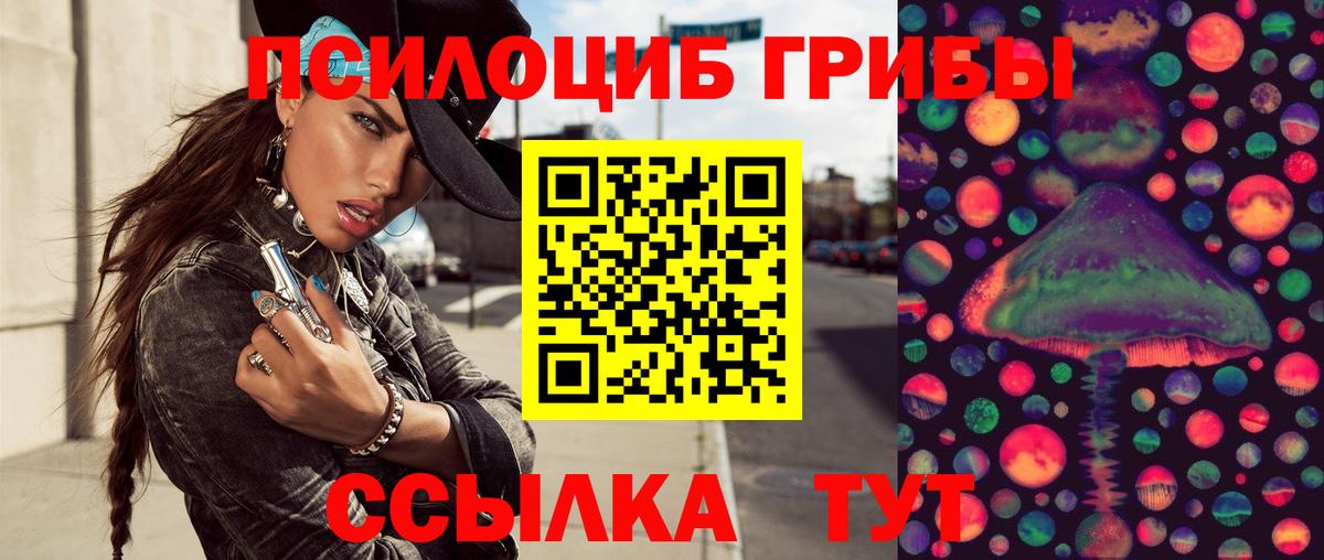Галлюциногенные грибы Cubensis Урус-Мартан