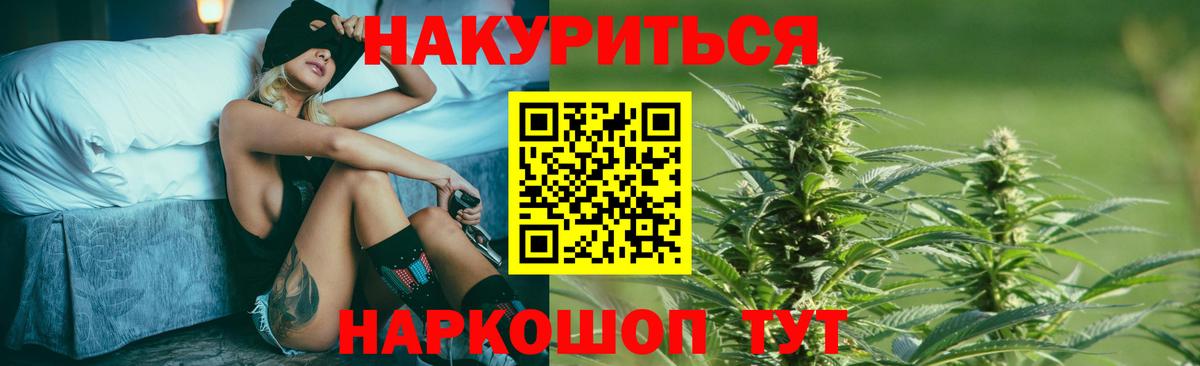 Бошки марихуана планчик  Бошки марихуана сатива  Урус-Мартан 